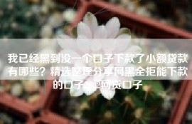 我已经黑到没一个口子下款了小额贷款有哪些？精选整理分享网黑全拒能下款的口子2022网贷口子