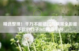 精选整理！千万不能错过的网黑全拒能下款的口子2022网贷平台