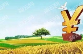 借款3000马上到账的有哪些?这几个借款3000秒到账