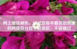 网上借钱被拒，试试这些不看征信负债的网贷百分百下款贷款，不容错过