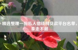 精选整理一份私人借钱网贷款平台名单，拿走不谢