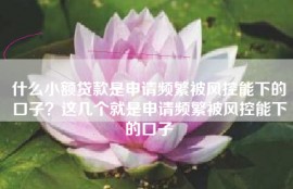 什么小额贷款是申请频繁被风控能下的口子？这几个就是申请频繁被风控能下的口子
