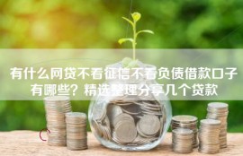 有什么网贷不看征信不看负债借款口子有哪些？精选整理分享几个贷款