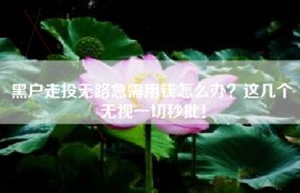 黑户走投无路急需用钱怎么办？这几个无视一切秒批！