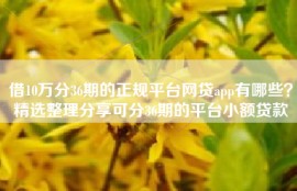 借10万分36期的正规平台网贷app有哪些？精选整理分享可分36期的平台小额贷款