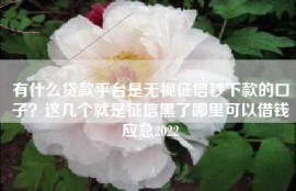 有什么贷款平台是无视征信秒下款的口子？这几个就是征信黑了哪里可以借钱应急2022