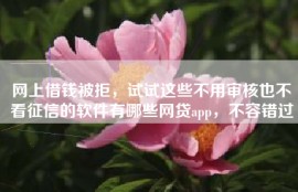 网上借钱被拒，试试这些不用审核也不看征信的软件有哪些网贷app，不容错过
