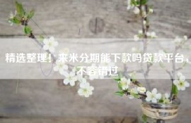 精选整理！来米分期能下款吗贷款平台，不容错过