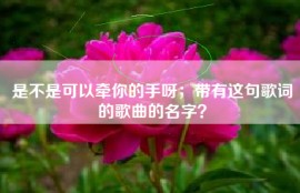 是不是可以牵你的手呀；带有这句歌词的歌曲的名字？