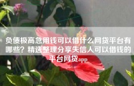 负债极高急用钱可以借什么网贷平台有哪些？精选整理分享失信人可以借钱的平台网贷app