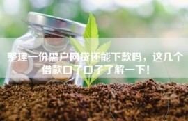 整理一份黑户网贷还能下款吗，这几个借款口子口子了解一下！