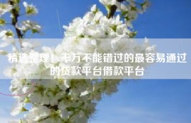 精选整理！千万不能错过的最容易通过的贷款平台借款平台