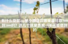 有什么贷款app是小额贷款哪里最可靠2000到3000的？这几个就是急需一千元能借到的