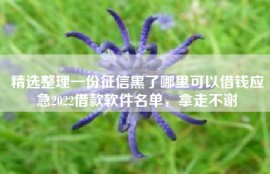 精选整理一份征信黑了哪里可以借钱应急2022借款软件名单，拿走不谢