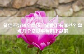 征信不好哪个网贷一定能下有哪些？盘点几个贷款平台好下款的