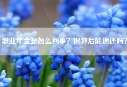 职业年金是怎么回事？退休后能返还吗？