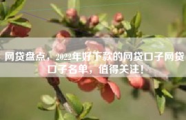 网贷盘点，2022年好下款的网贷口子网贷口子名单，值得关注！