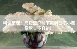 精选整理！网贷黑户能下款的口子小额贷款，不容错过