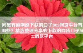 网黑有逾期能下款的口子2022网贷平台有哪些？精选整理分享必下款的网贷口子2022借款平台