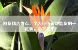 网贷精选盘点：个人征信很烂能贷的一览表，必下名单