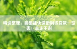精选整理，哪里能快速借到钱贷款一览表，拿走不谢