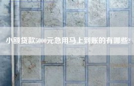 小额贷款5000元急用马上到账的有哪些?