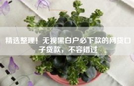 精选整理！无视黑白户必下款的网贷口子贷款，不容错过