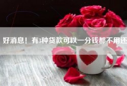 好消息！有3种贷款可以一分钱都不用还