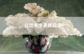 征信多少条算花了