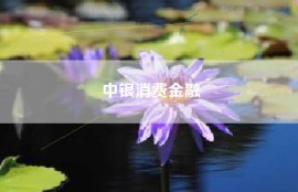 中银消费金融