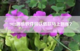 2022哪些软件可以借款马上到账？