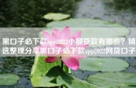 黑口子必下款app2022小额贷款有哪些？精选整理分享黑口子必下款app2022网贷口子