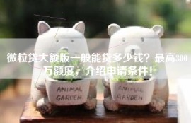 微粒贷大额版一般能贷多少钱？最高300万额度，介绍申请条件！