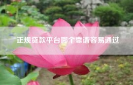 正规贷款平台哪个靠谱容易通过