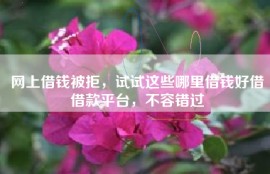 网上借钱被拒，试试这些哪里借钱好借借款平台，不容错过