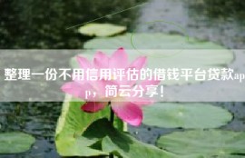 整理一份不用信用评估的借钱平台贷款app，简云分享！