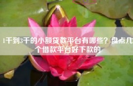 1千到3千的小额贷款平台有哪些？盘点几个借款平台好下款的