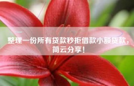整理一份所有贷款秒拒借款小额贷款，简云分享！