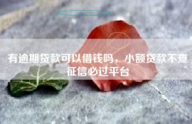 有逾期贷款可以借钱吗，小额贷款不查征信必过平台
