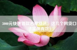 3000元快速借款名单精选，这几个网贷口子实测有效！