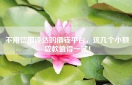 不用信用评估的借钱平台，这几个小额贷款值得一试！