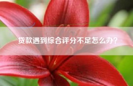 贷款遇到综合评分不足怎么办？