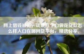 网上借钱被拒，试试几个口袋花贷款怎么样入口在哪网贷平台，精选分享