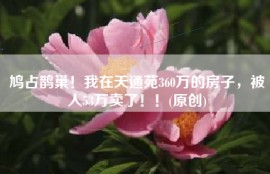 鸠占鹊巢！我在天通苑360万的房子，被人53万卖了！！(原创)