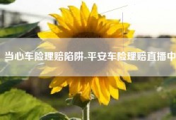 当心车险理赔陷阱-平安车险理赔直播中