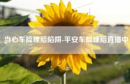 当心车险理赔陷阱-平安车险理赔直播中
