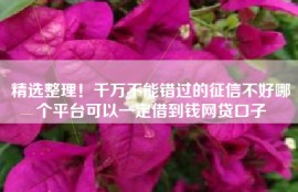精选整理！千万不能错过的征信不好哪个平台可以一定借到钱网贷口子