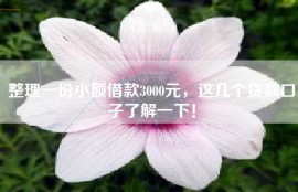 整理一份小额借款3000元，这几个贷款口子了解一下！