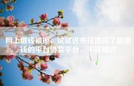网上借钱被拒，试试这些征信花了能借钱的平台借款平台，不容错过