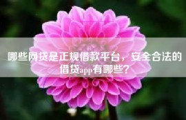 哪些网贷是正规借款平台，安全合法的借贷app有哪些？